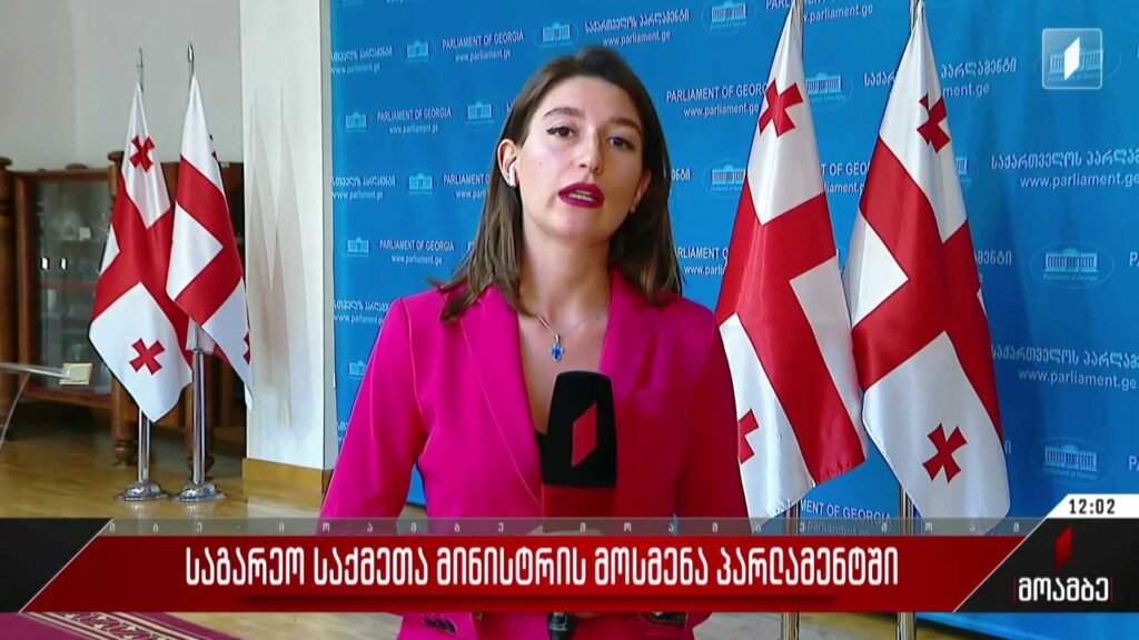 საგარეო საქმეთა მინისტრის მოსმენა პარლამენტში