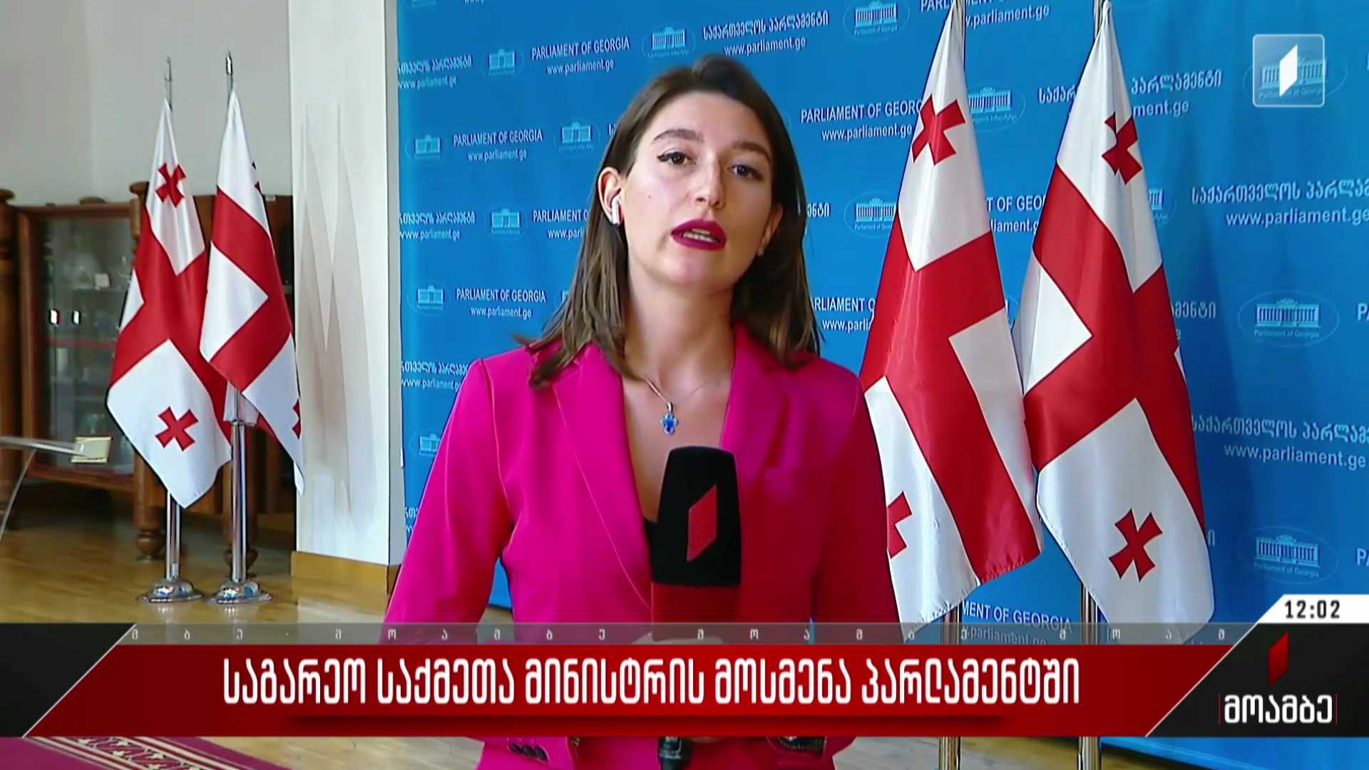 საგარეო საქმეთა მინისტრის მოსმენა პარლამენტში
