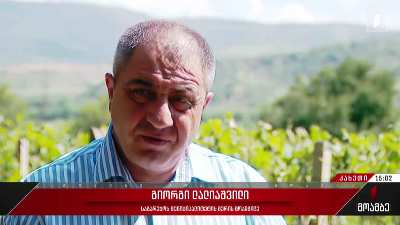 სტიქია საგარეჯოს მუნიციპალიტეტში
