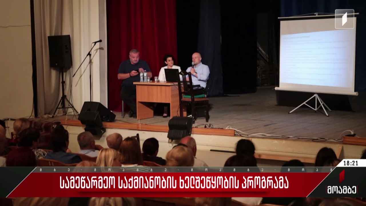 სამეწარმეო საქმიანობის ხელშეწყობის პროგრამა