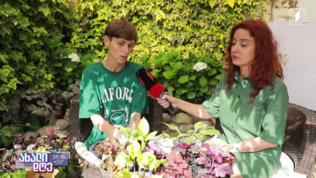 რუბრიკა „მცენარეების მეგობარი“ – ჩრდილის მოყვარული ექსტერიერის მცენარეები