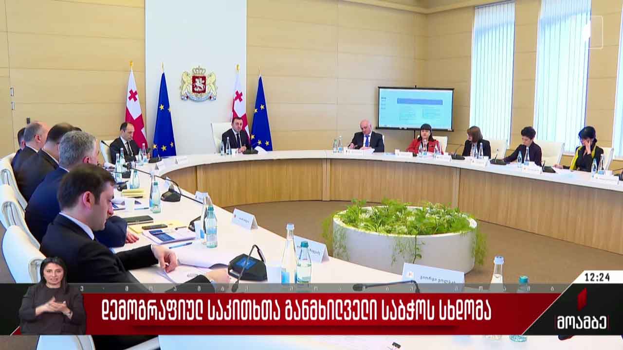 დემოგრაფიულ საკითხთა განმხილველი საბჭოს სხდომა