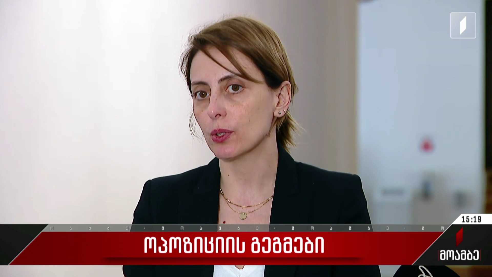 ოპოზიციის გეგმები