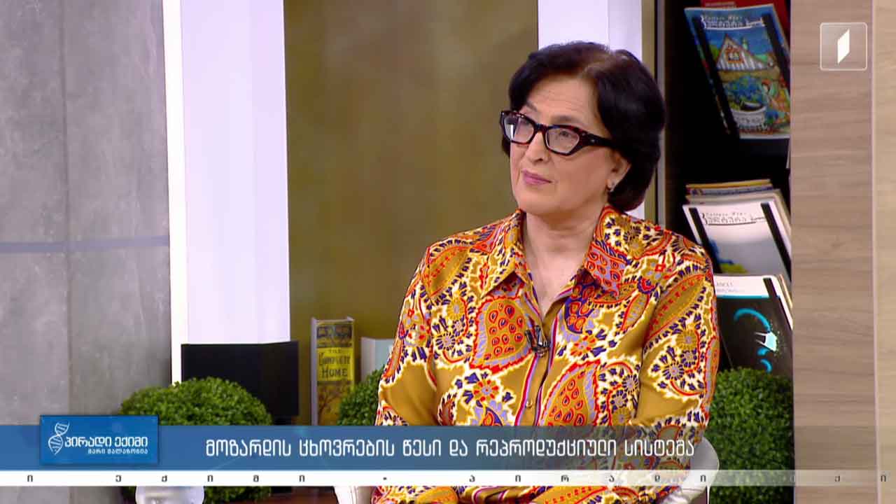პირადი ექიმი - მოზარდის ცხოვრების წესი და რეპროდუქციული სისტემა / კვებითი შუქნიშანი #LIVE