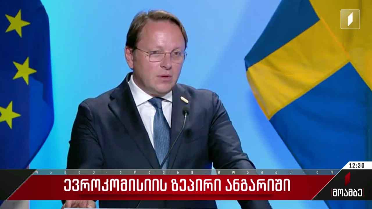 ევროკომისიის ზეპირი ანგარიში - შეფასებები
