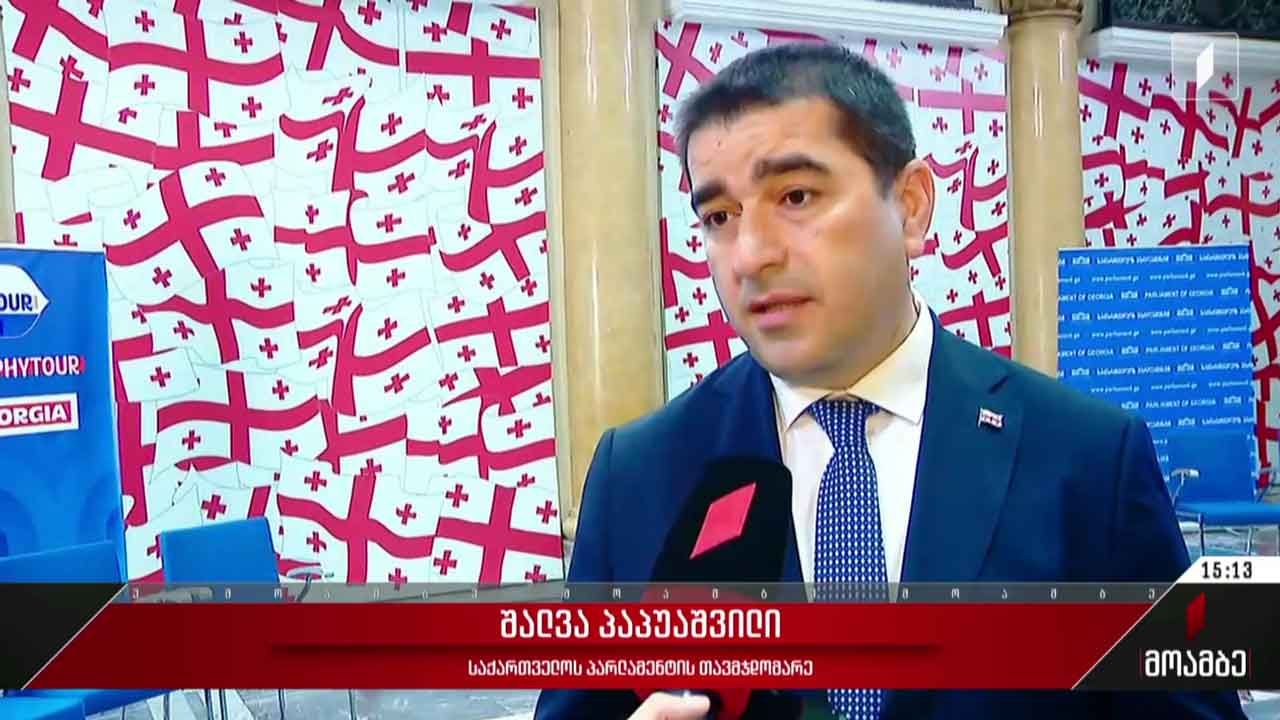 ნიკა გვარამიას შეწყალება - შეფასებები პოლიტიკურ სპექტრში
