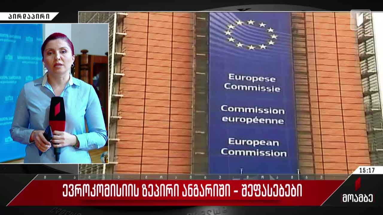 ევროკომისიის ზეპირი ანგარიში - შეფასებები თბილისში
