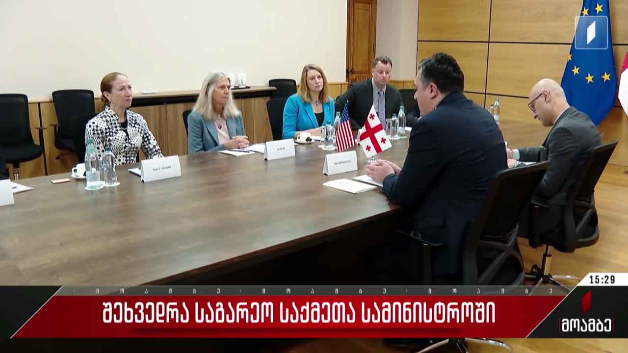 შეხვედრა საგარეო საქმეთა სამინისტროში