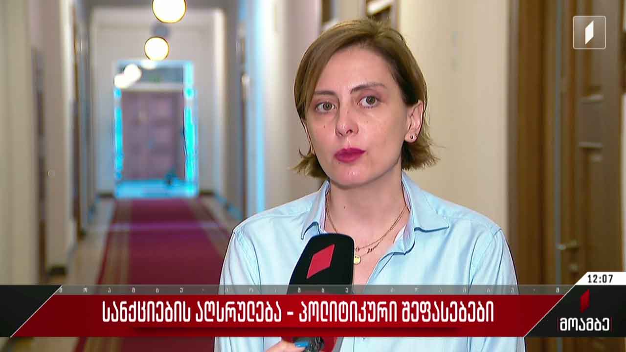 სანქციების აღსრულება - შეფასებები პოლიტიკურ სპექტრში