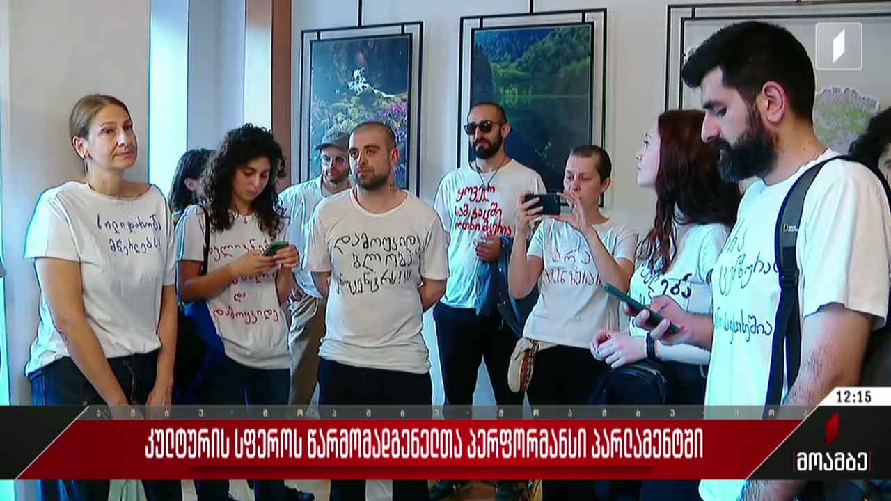 კულტურის სფეროს წარმომადგენელთა პერფორმანსი