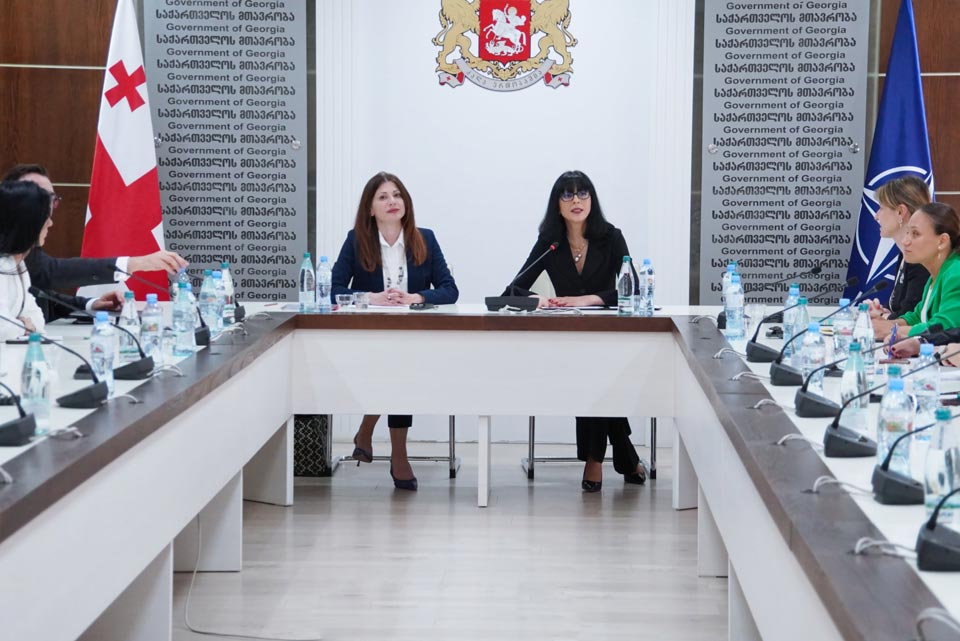 თეა ახვლედიანი საქართველოში სამუშაო ვიზიტით მყოფ ნატო-ს გენერალური მდივნის სპეციალურ წარმომადგენელს, ირენ ფელინს შეხვდა