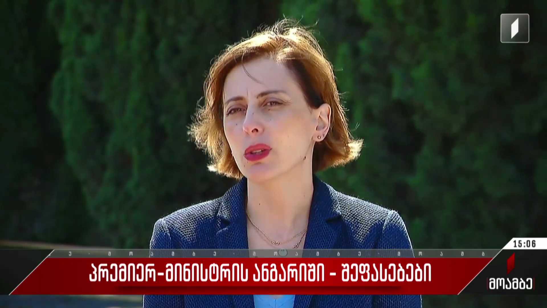პრემიერ-მინისტრის ანგარიში - შეფასებები პოლიტიკურ სპექტრში