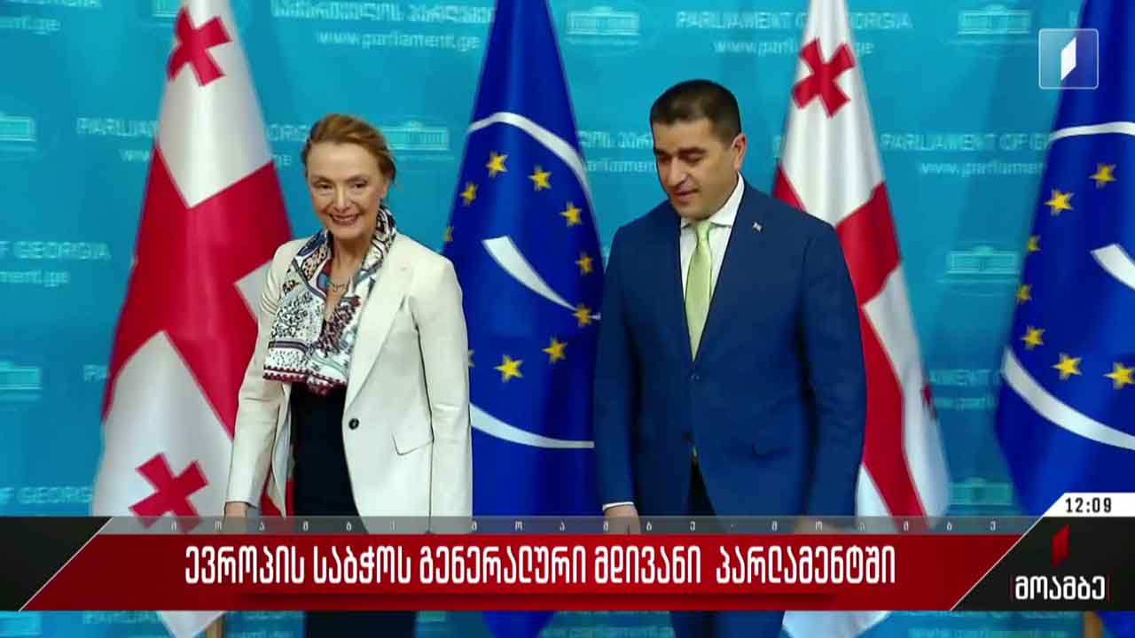 ევროპის საბჭოს გენერალურ მდივანი პარლამენტში
