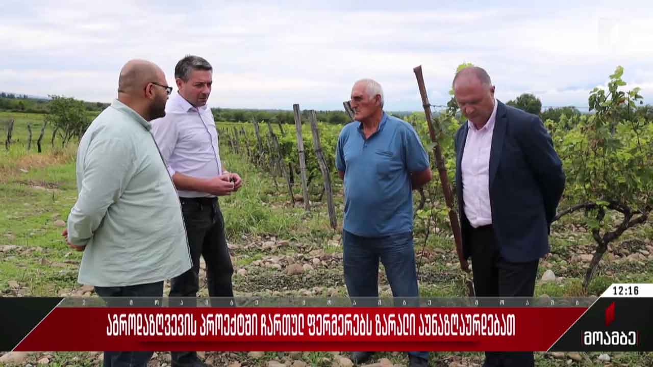 აგროდაზღვევის პროექტში ჩართულ ფერმერებს ზარალი აუნაზღაურდებათ