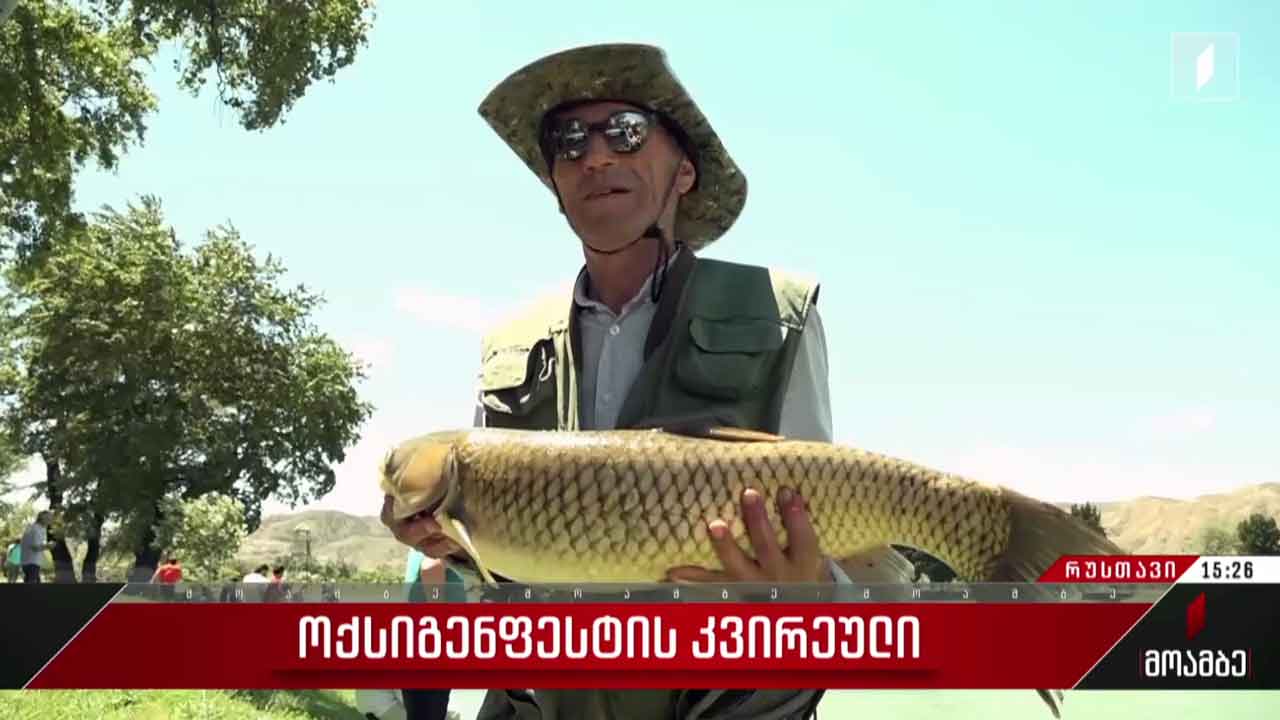 „ოქსიგენფესტის“კვირეული