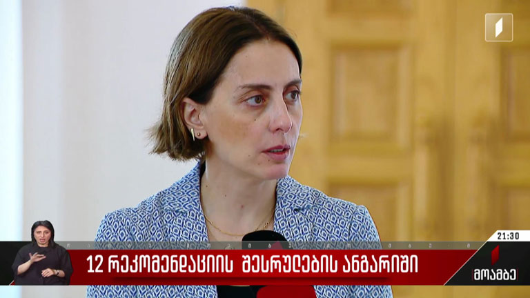12 რეკომენდაციის შესრულების ანგარიში - გამოხმაურება
