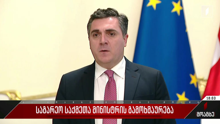 საგარეო საქმეთა მინისტრის გამოხმაურება