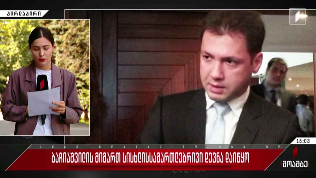 ბაჩიაშვილის მიმართ სისხლისსამართლებრივი დევნა დაიწყო