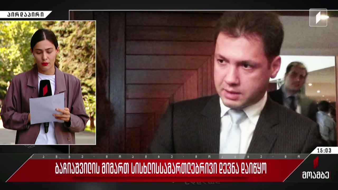ბაჩიაშვილის მიმართ სისხლისსამართლებრივი დევნა დაიწყო
