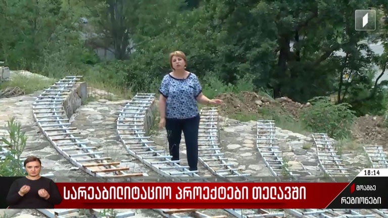 სარეაბილიტაციო პროექტები თელავში
