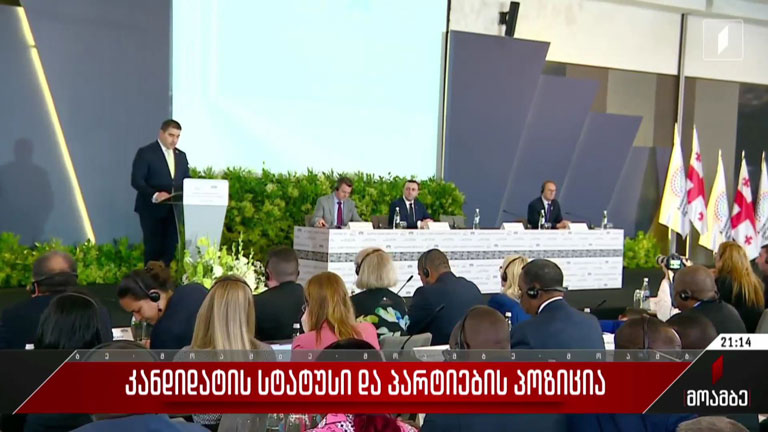 კანდიდატის სტატუსი და პარტიების პოზიცია