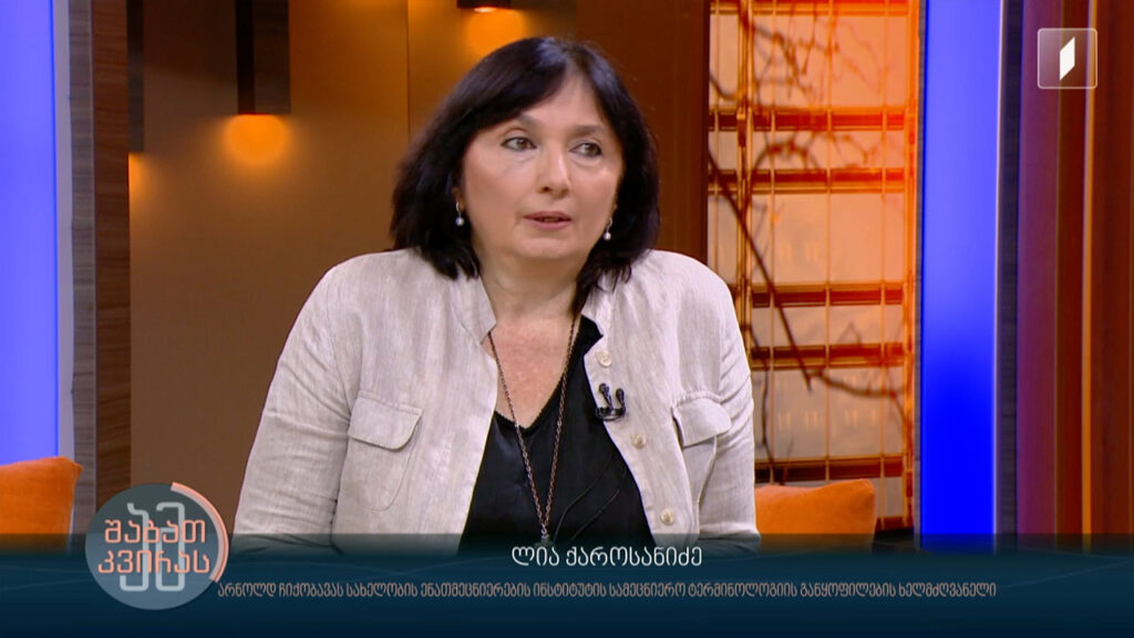 შლაპუნა, ქუნთა, ბამბულა – როგორ არჩევენ უცხოური ტერმინების ქართულ შესატყვისებს