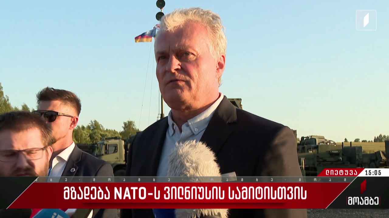მზადება ნატო-ს ვილნიუსის სამიტისთვის