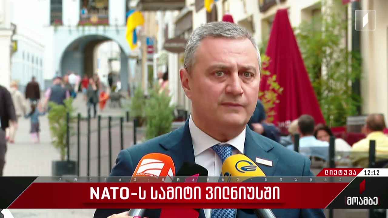 ნატო-ს სამიტი - რა ჩაიწერება დასკვნით დეკლარაციაში საქართველოზე