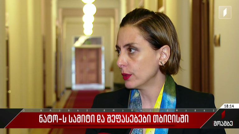 ნატოს სამიტი და შეფასებები თბილისში