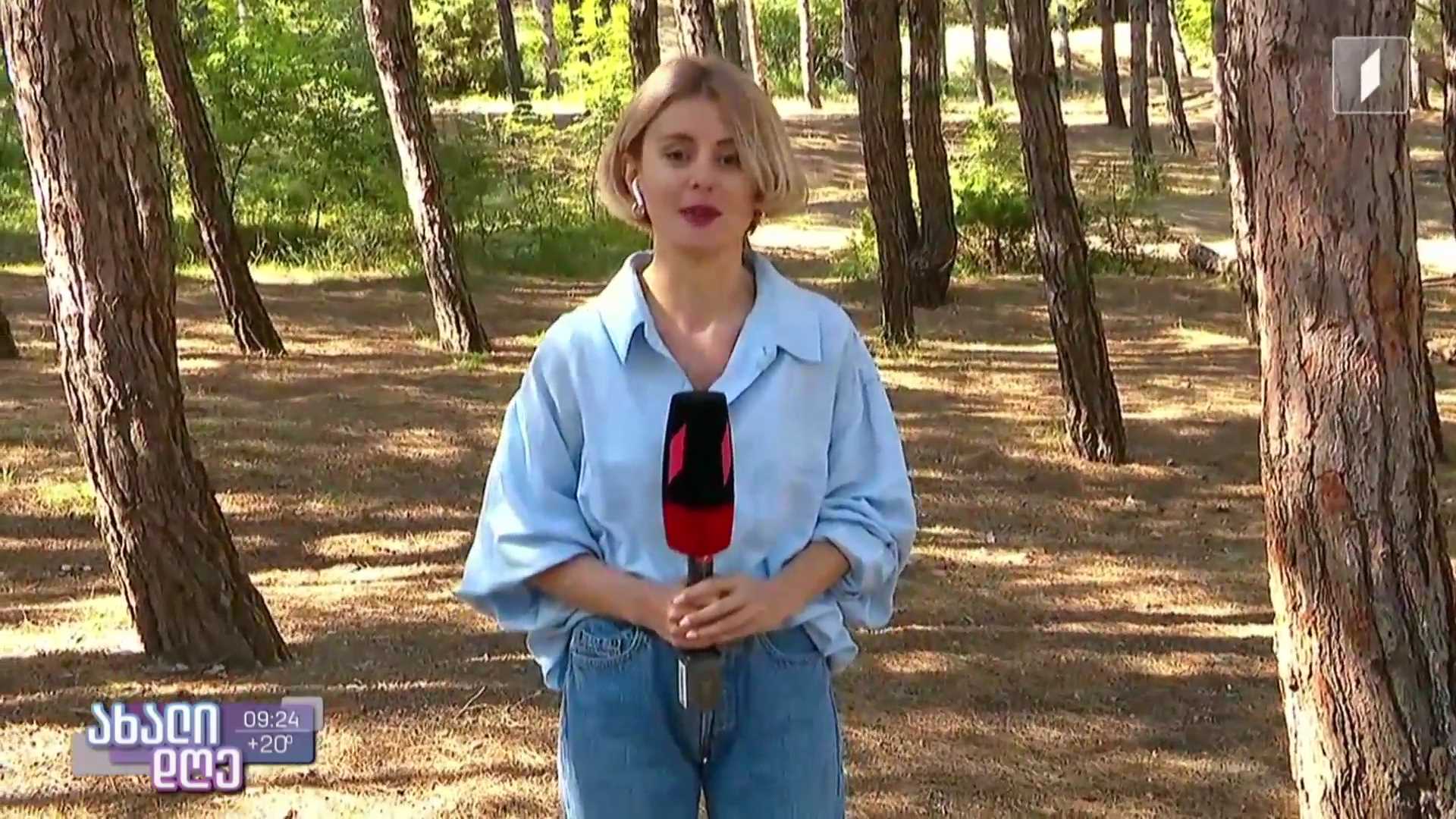 კოცონის დანთების წესები