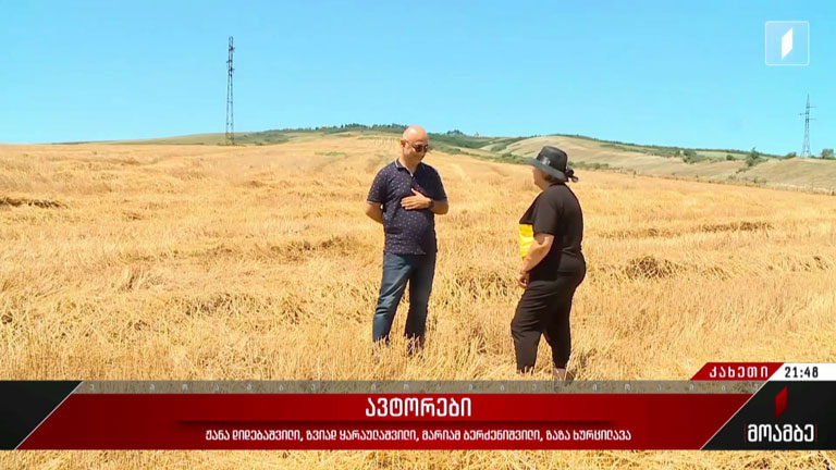 ალოობა კახეთში