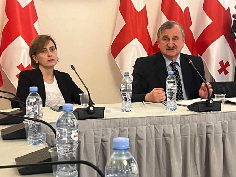 რომან გოცირიძე და ხატია დეკანოიძე აცხადებენ, რომ საქართველო დემოგრაფიული კატასტროფის ზღვარზეა
