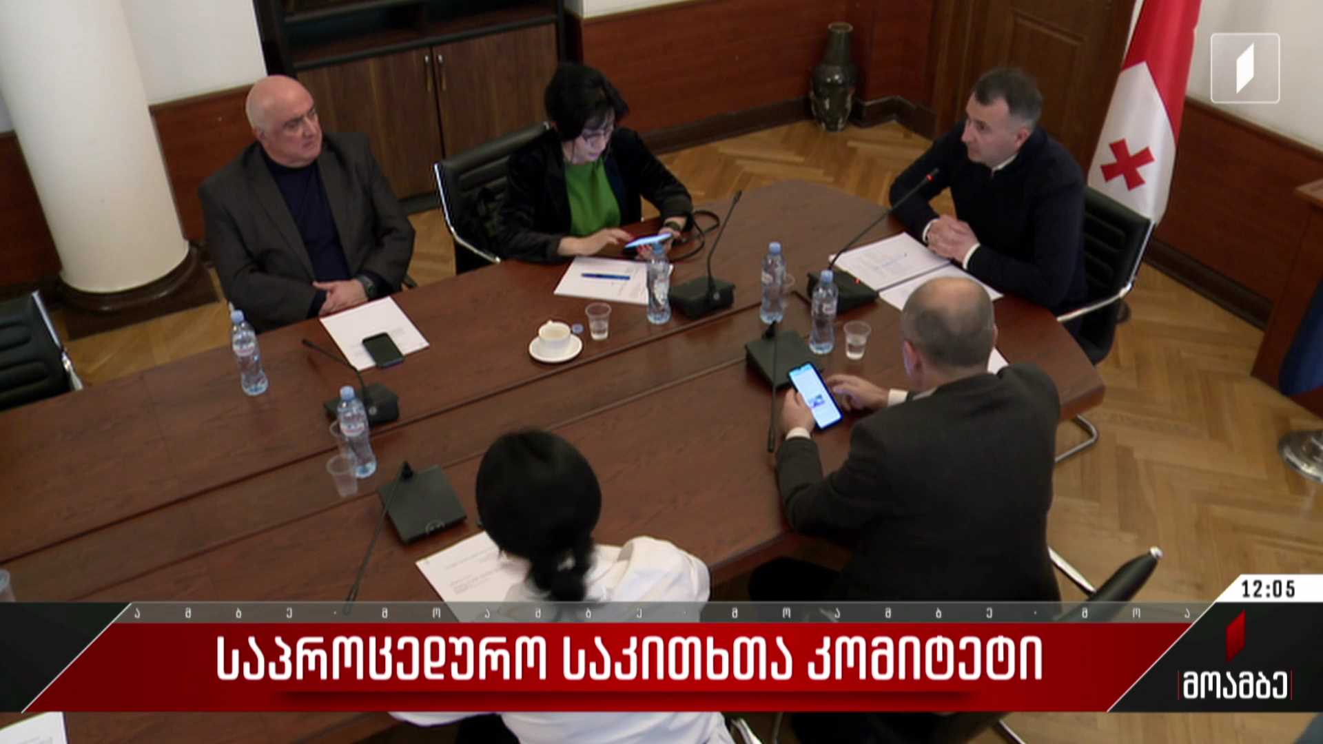 საპროცედურო საკითხთა კომიტეტი