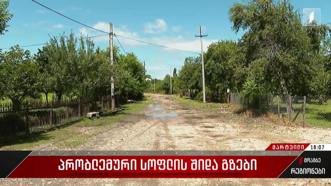 პრობლემური სოფლის შიდა გზები