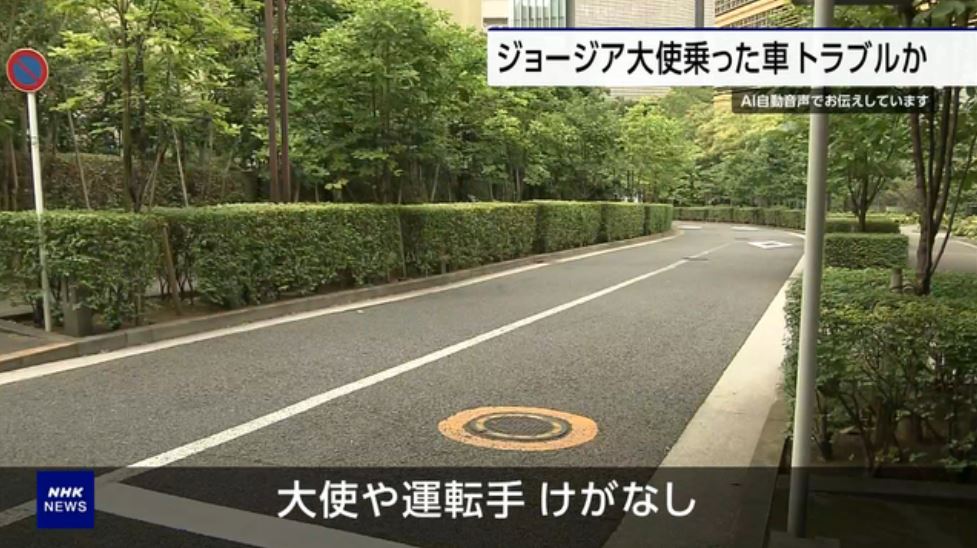 იაპონური მედიის ცნობით, ტოკიოს პოლიცია საქართველოს ელჩის მძღოლზე შესაძლო თავდასხმას იძიებს