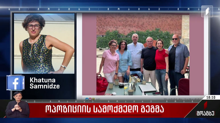 ოპოზიციის სამოქმედო გეგმა