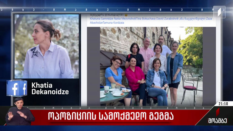 ოპოზიციის სამოქმედო გეგმა