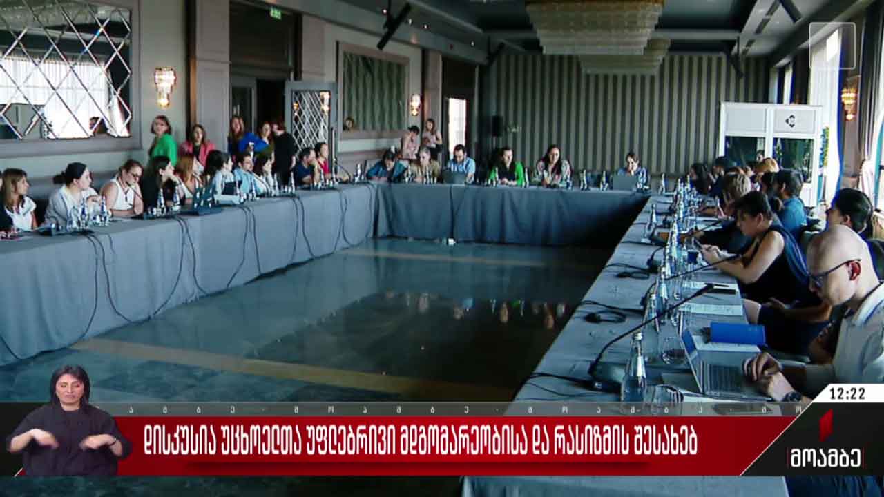 დისკუსია უცხოელთა უფლებრივი მდგომარეობისა და რასიზმის შესახებ