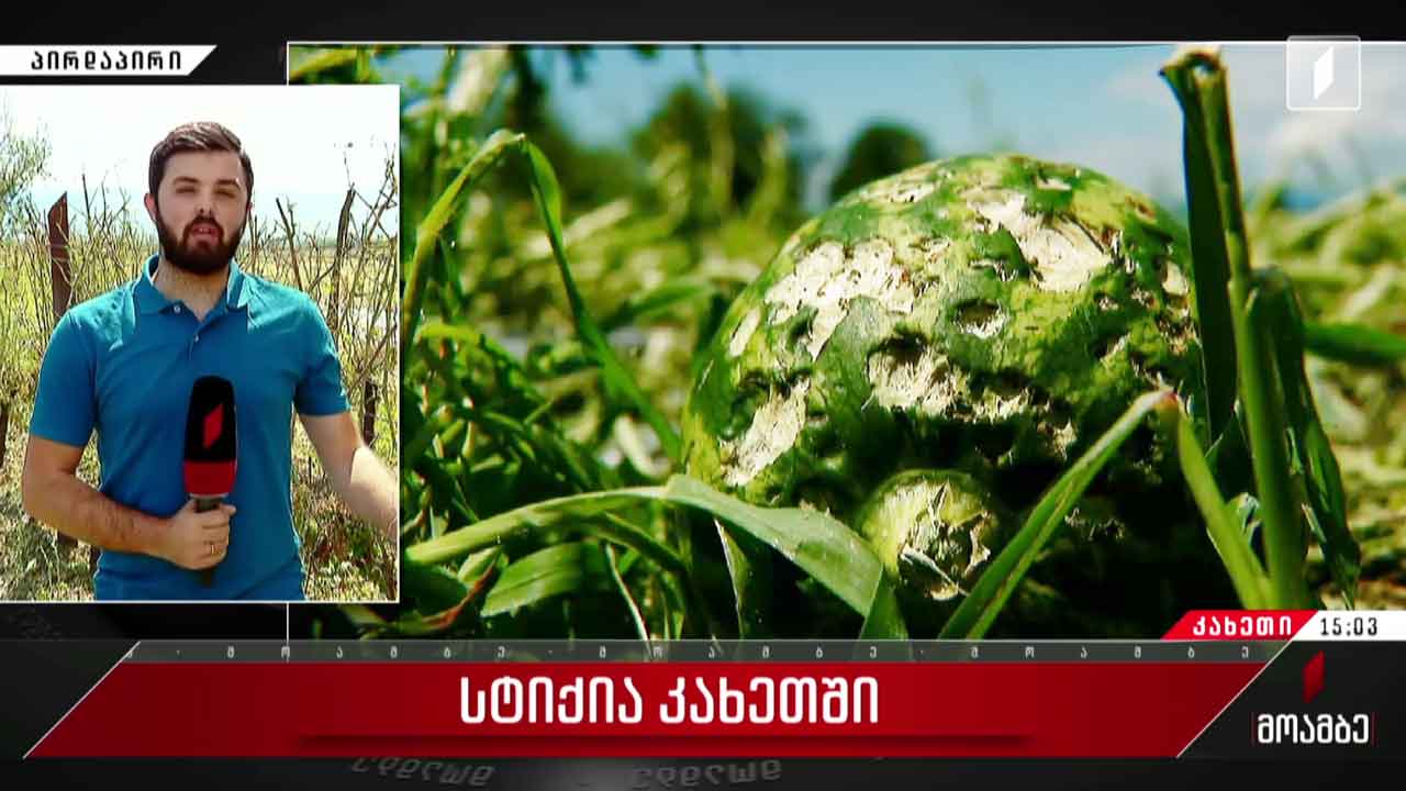 სტიქიის შედეგები კახეთში