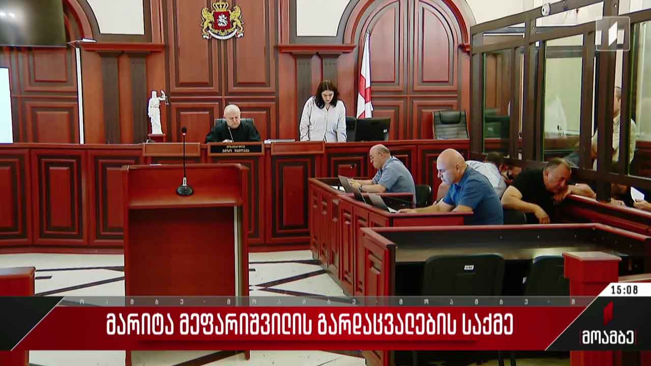 ვაკის პარკის ტრაგედიის საქმე