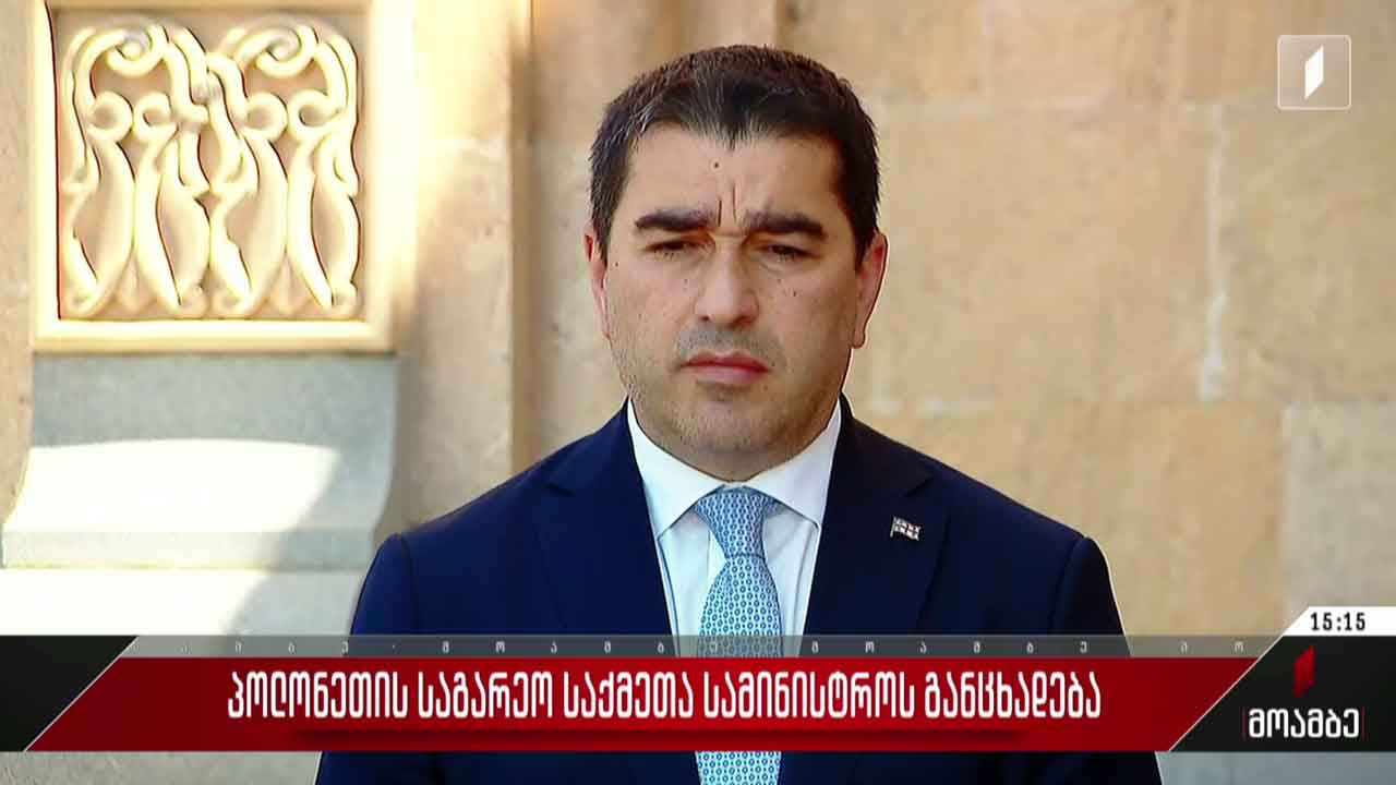 პოლონელი ექიმები სააკაშვილთან - პოლიტიკური შეფასებები