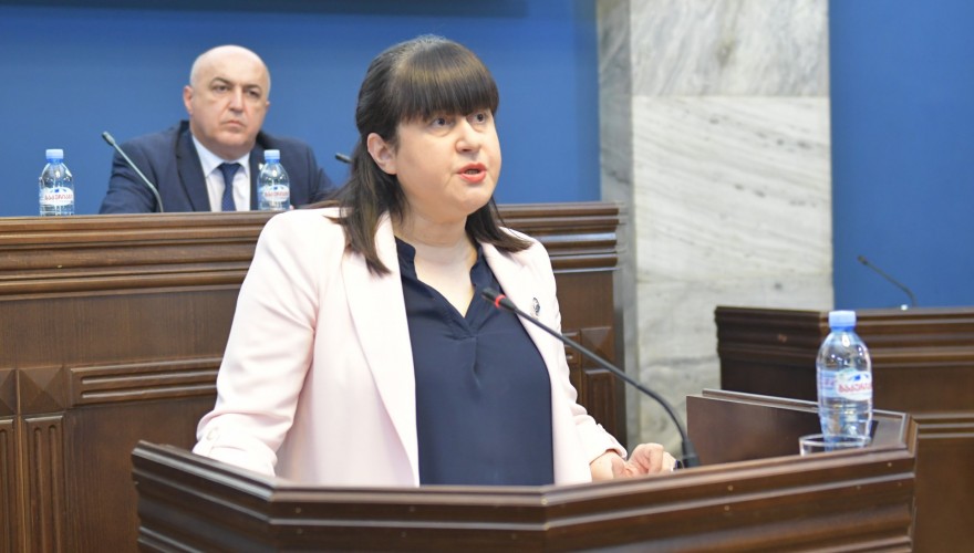 ჯანმრთელობის დაცვისა და სოციალურ საკითხთა კომიტეტზე ჯანმრთელობის ხელშეწყობის სახელმწიფო პროგრამის აღსრულების შესახებ იმსჯელეს