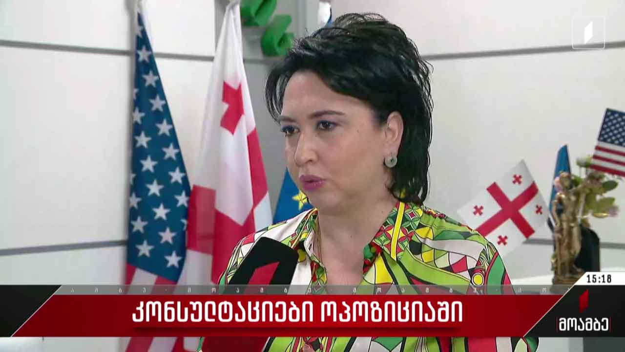კონსულტაციები ოპოზიციაში