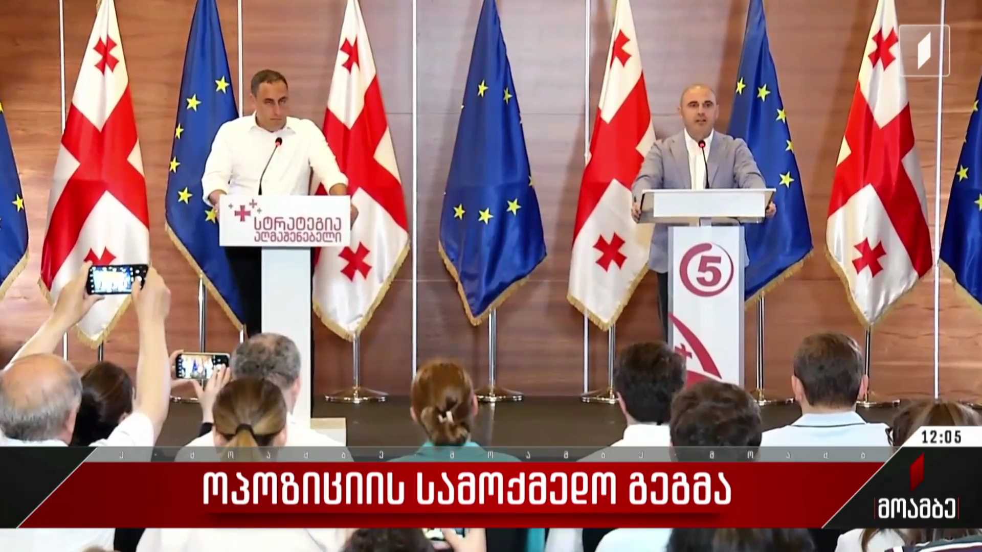  ოპოზიციის სამოქმედო გეგმა