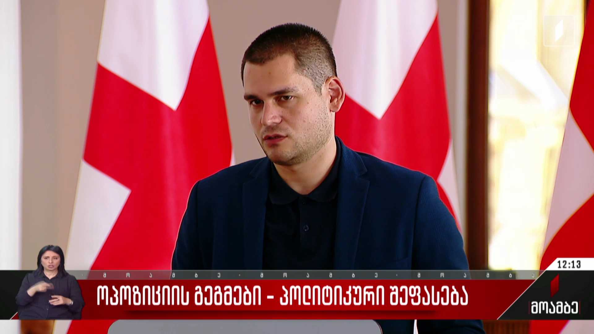 ოპოზიციის გეგმები - შეფასება პოლიტიკურ სპექტრში