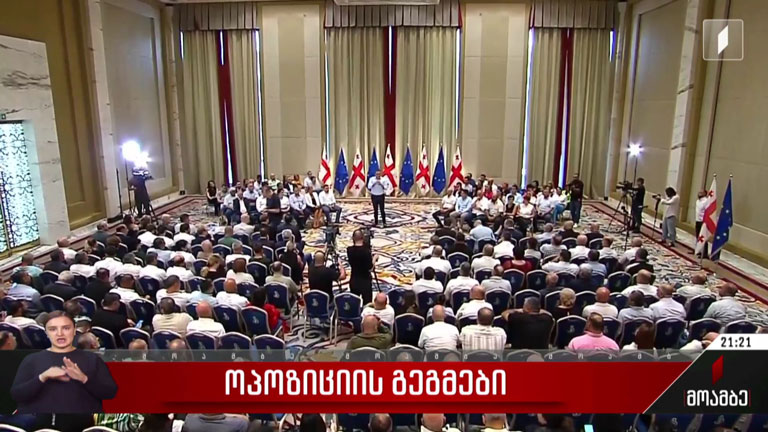 ოპოზიციის გეგმები