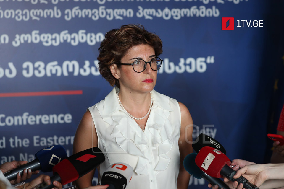 ოპოზიციის გეგმები