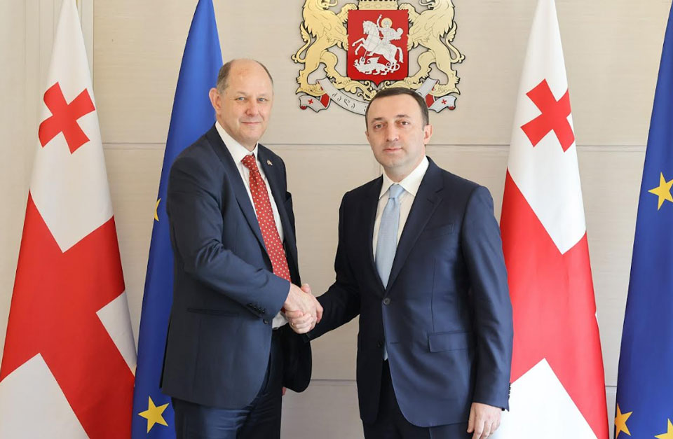 ირაკლი ღარიბაშვილი გაერთიანებული სამეფოს საგარეო, თანამეგობრობისა და განვითარების საქმეთა სახელმწიფო მდივნის მუდმივ მოადგილეს შეხვდა