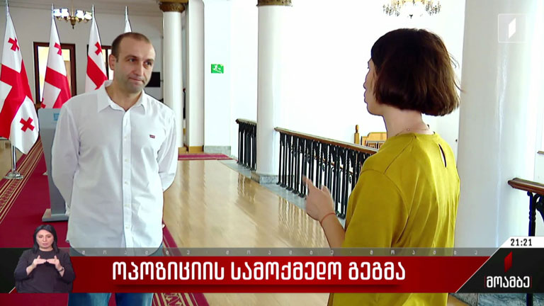 ოპოზიციის სამოქმედო გეგმა
