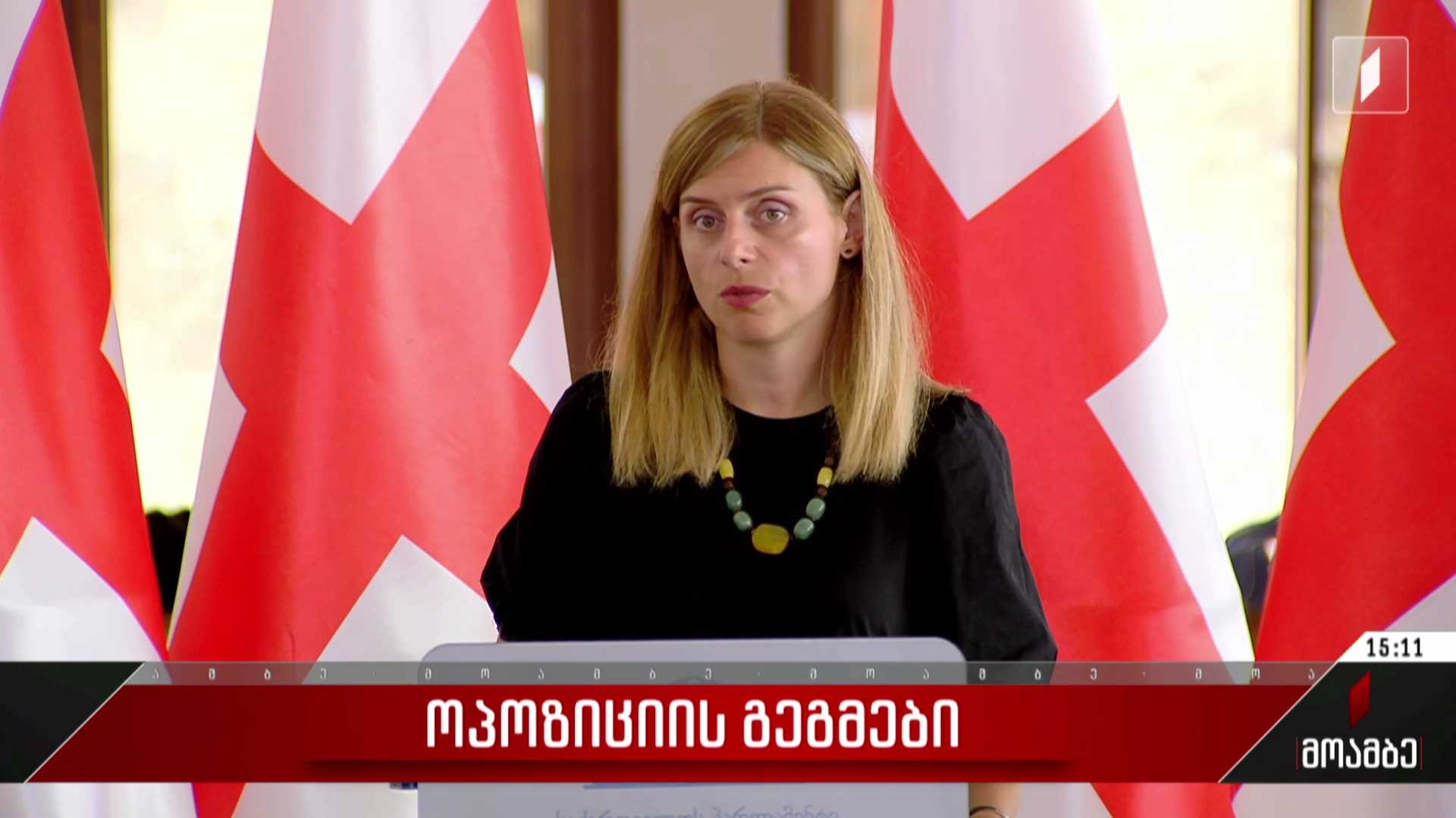 ოპოზიციის გეგმები